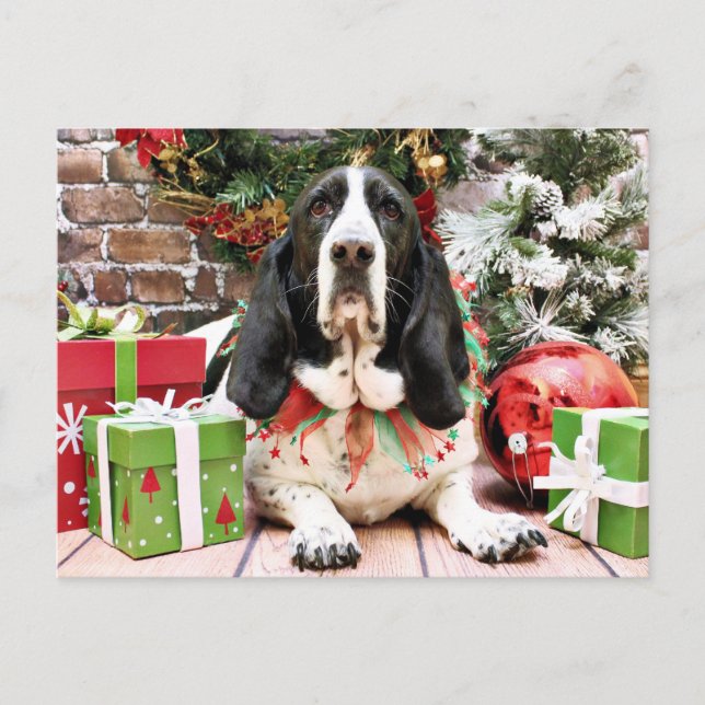 Jul - Basset Hound - Jasmine Helg Vykort (Framsida)