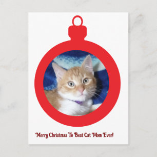 Jul, Bästa kattmamma någonsin , Vykort