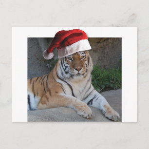 Jul Bengal Tiger Helg Vykort