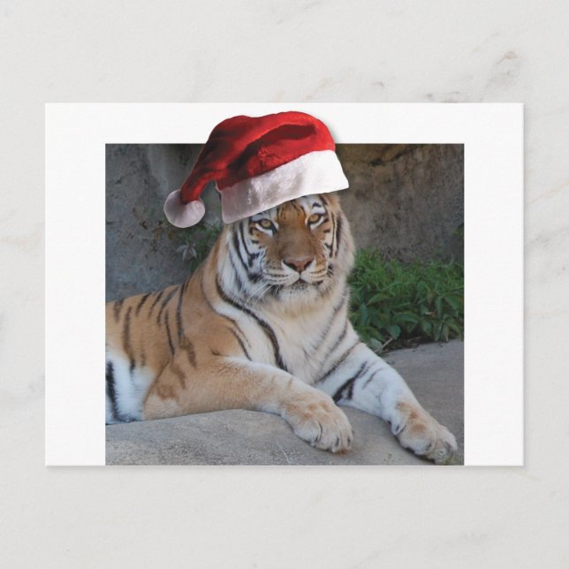 Jul Bengal Tiger Helg Vykort (Framsida)