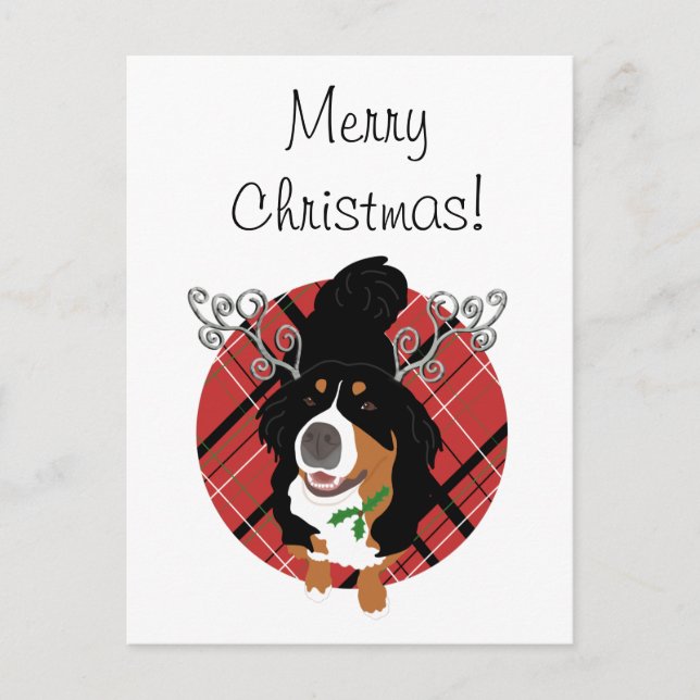 Jul Bernese Hund Gift Card Helg Vykort (Framsida)