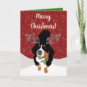 Jul Bernese Hund Gift Card Kort
