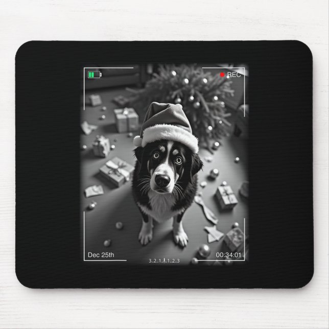 Jul Bernese Mountain Dog Caught On Camera  Musmatta (Framsidan)