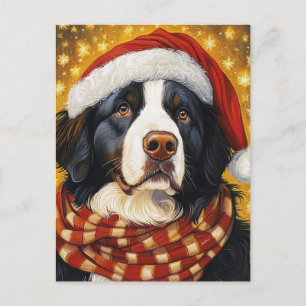 Jul Bernese Mountain Dog i tomteluva Vykort
