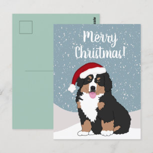 Jul Bernese mountain Dog Vykort