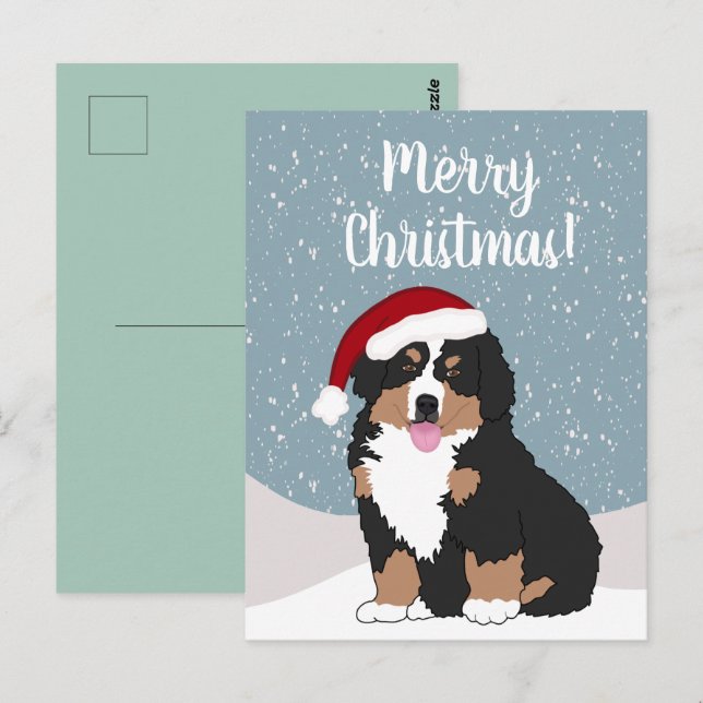 Jul Bernese mountain Dog  Vykort (Fram/baksida)