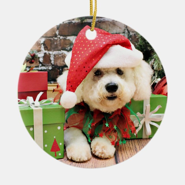 Jul - Bichon Frise - daisy Julgransprydnad Keramik (Framsidan)