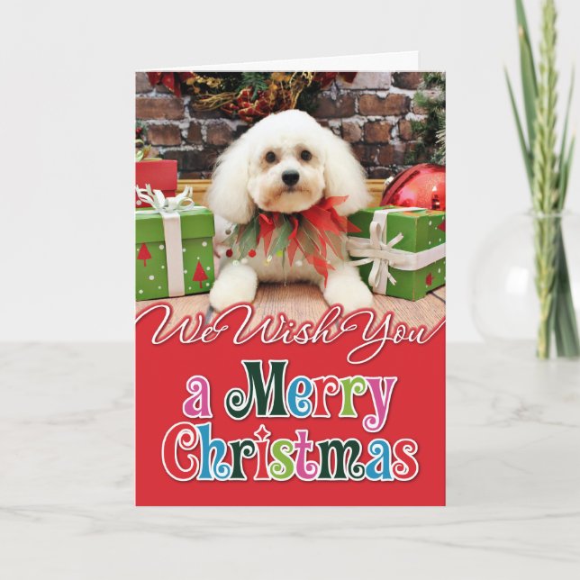 Jul - Bichon Frise - Harry Helgkort (Framsida)