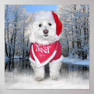 Jul Bichon Frise Hund Poster