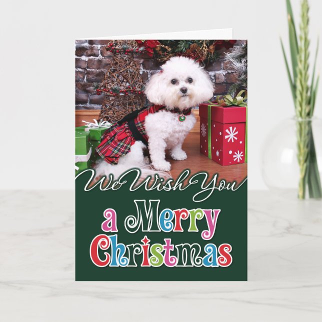 Jul - Bichon Frise - Mia Helgkort (Framsida)