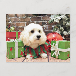 Jul - Bichon Frise X - Bella Helg Vykort