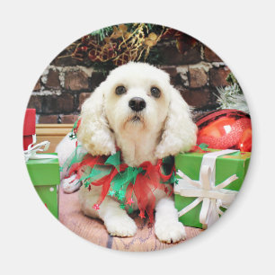 Jul - Bichon Frise X - Maya Magnet