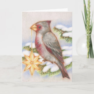 Jul Bird Desert Kardinal Star OrnamCard Helgkort