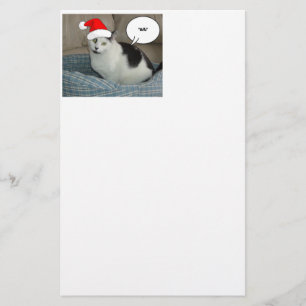 Jul Black and White Kitten Brevpapper