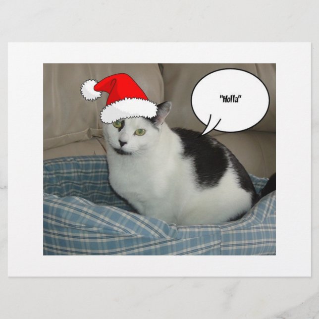 Jul Black and White Kitten Reklamblad (Framsidan)