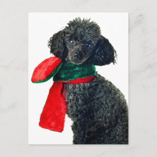Jul Black Leksak Hund Reindeer Red Scarf Helg Vykort
