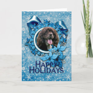 Jul - blåttsnöflingor - cockerspanielSpaniel Helgkort
