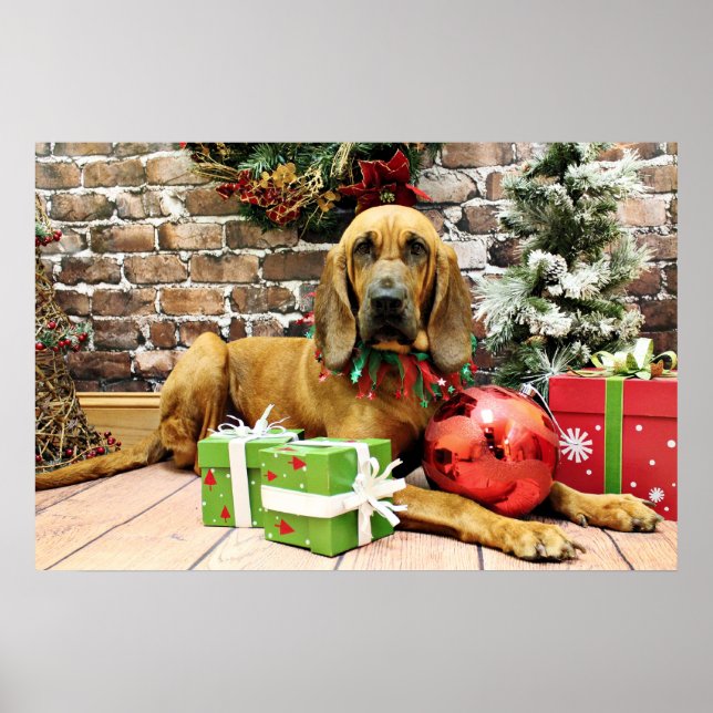 Jul - Bloodhound - Penney Poster (Framsidan)