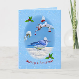 Jul, Blue Jay Bird och Snö Helgkort