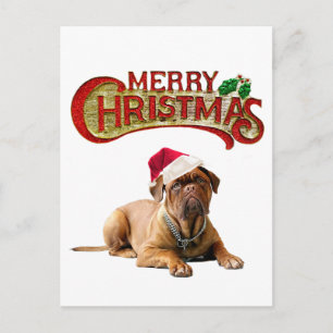 Jul Bordeauxdog Helg Vykort