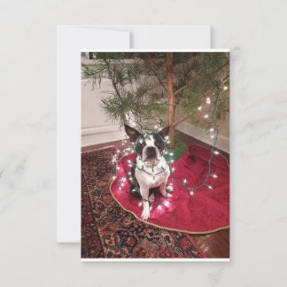Jul Boston Terrier Dolly-kort Tack Kort