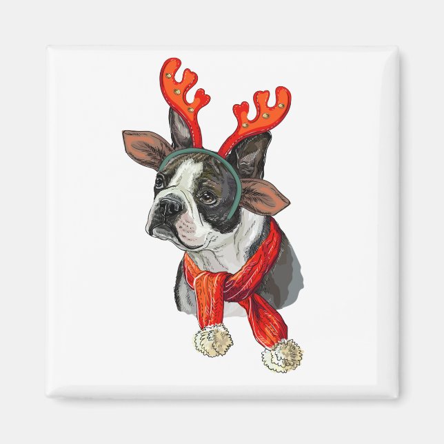 Jul Boston terrier hund Magnet (Framsidan)