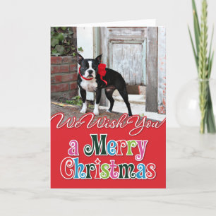 Jul - Boston Terrier - Miles Helgkort