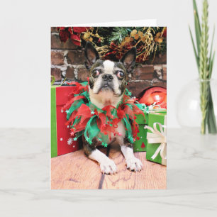 Jul - Boston Terrier - Natty Helgkort