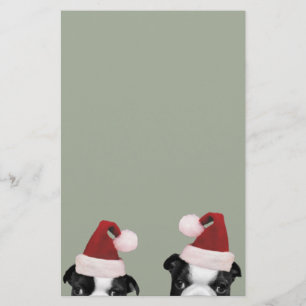 Jul Boston Terriers Brevpapper