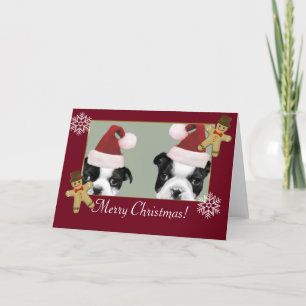 Jul Boston Terriers Helgkort
