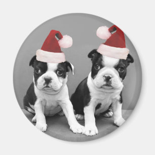 Jul Boston Terriers Magnet