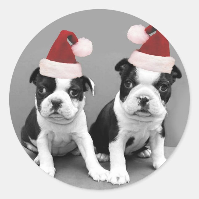 Jul Boston Terriers Runt Klistermärke (Framsida)