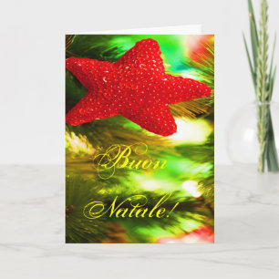 Jul Buon Natale Red julstjärna I Helgkort