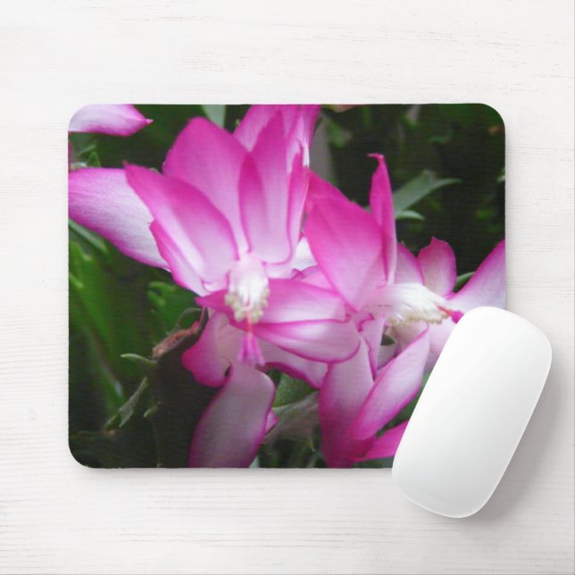 Jul Cactus Flowers Mousepad Musmatta (Med mus)