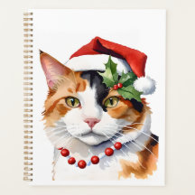 Jul Calico cat