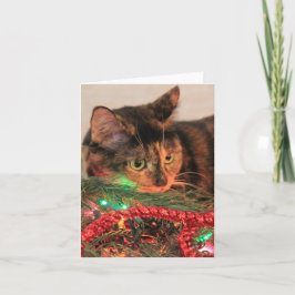 Jul Calico, Cat gillar ljus! Blanka anteckningar! Helgkort