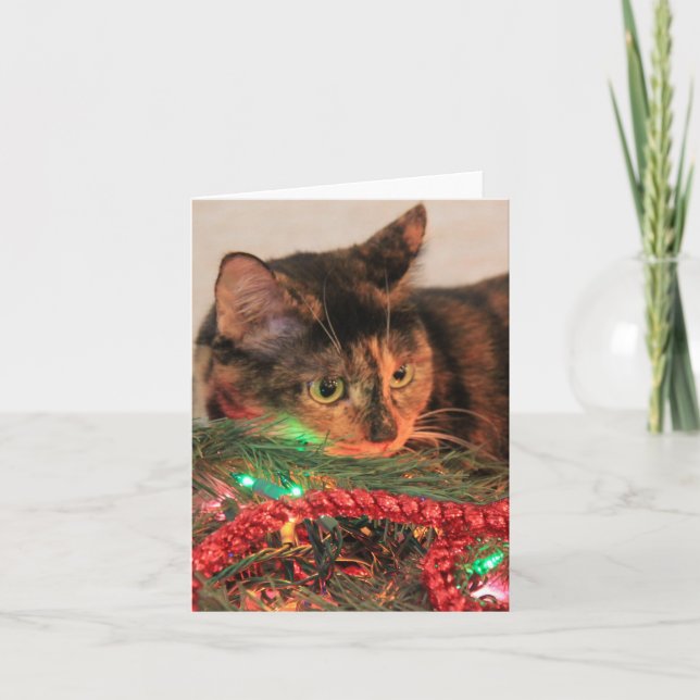Jul Calico, Cat gillar ljus! Blanka anteckningar! Helgkort (Framsida)