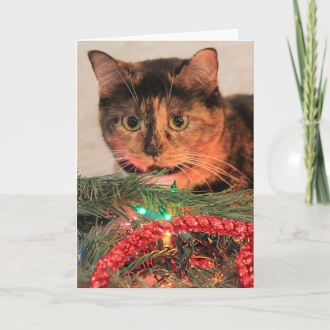 Jul Calico, Cat gillar ljus! Blanka anteckningar! Helgkort (Framsida)