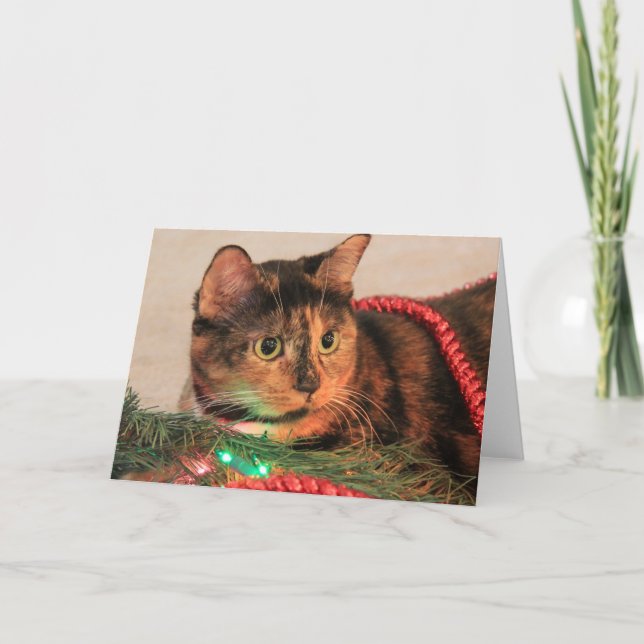 Jul Calico, Cat gillar ljus! Blanka anteckningar! Helgkort (Framsida)