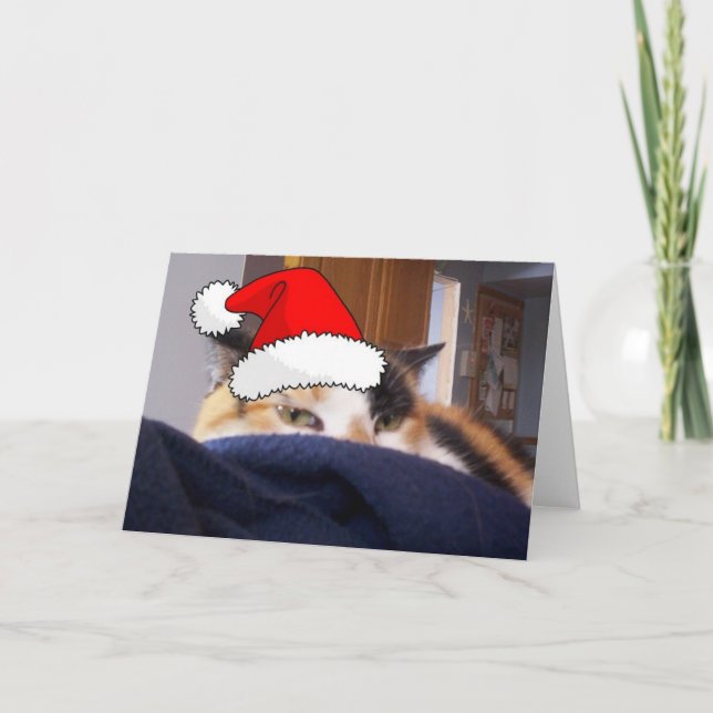 Jul Calico Cat Helgkort (Framsida)
