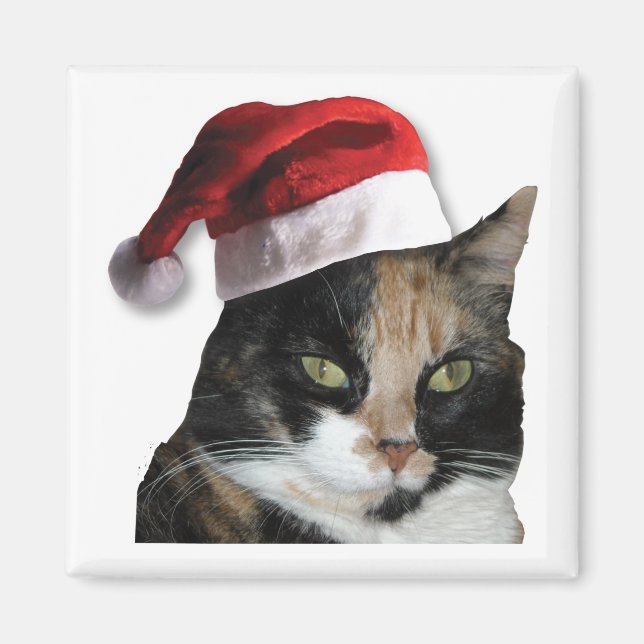 Jul Calico Cat Magnet (Framsidan)