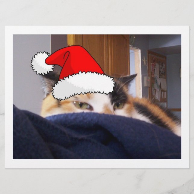 Jul Calico Cat Reklamblad (Framsidan)