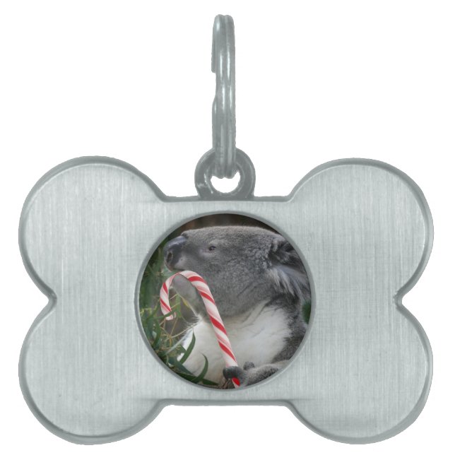 Jul Candy cane Koala ID-bricka Husdjur (Framsidan)