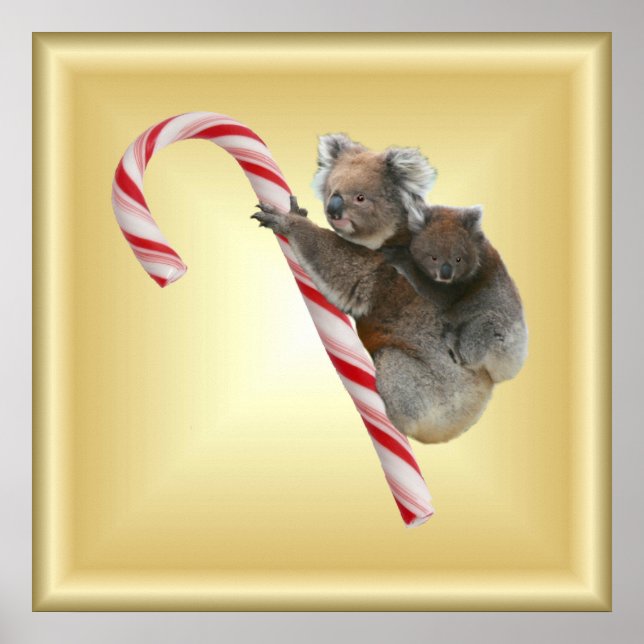 Jul Candy cane Koalas Poster (Framsidan)