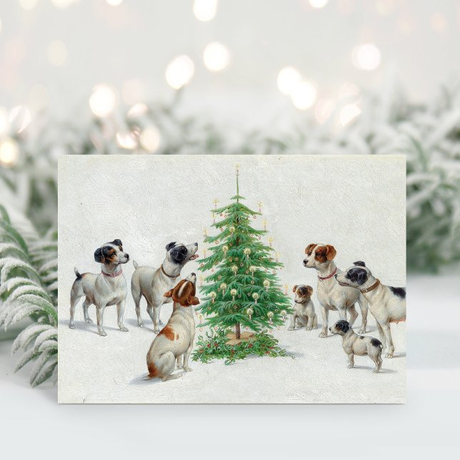 Jul | Carl Reichert Kort (Skapare uppladdad)