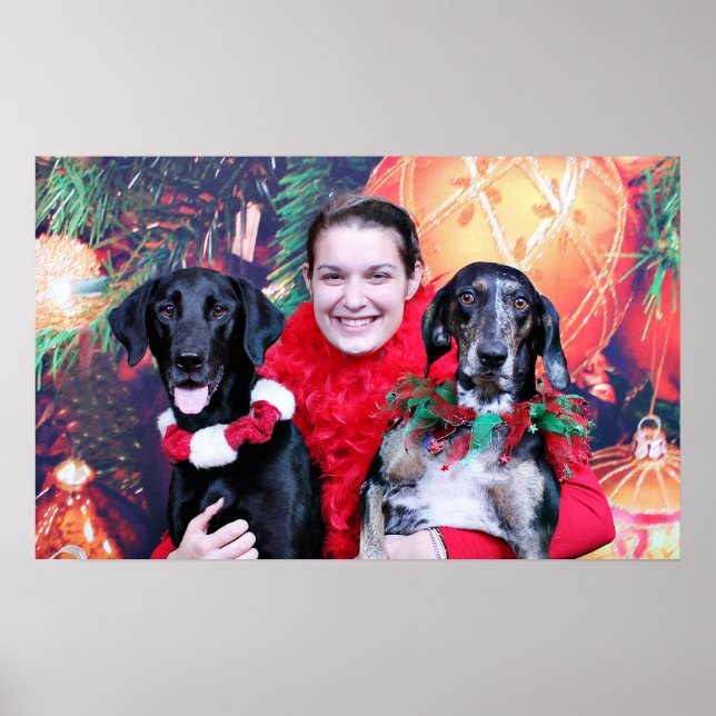 Jul - Catahoula Brita och Labrador Cooper Poster (Framsidan)