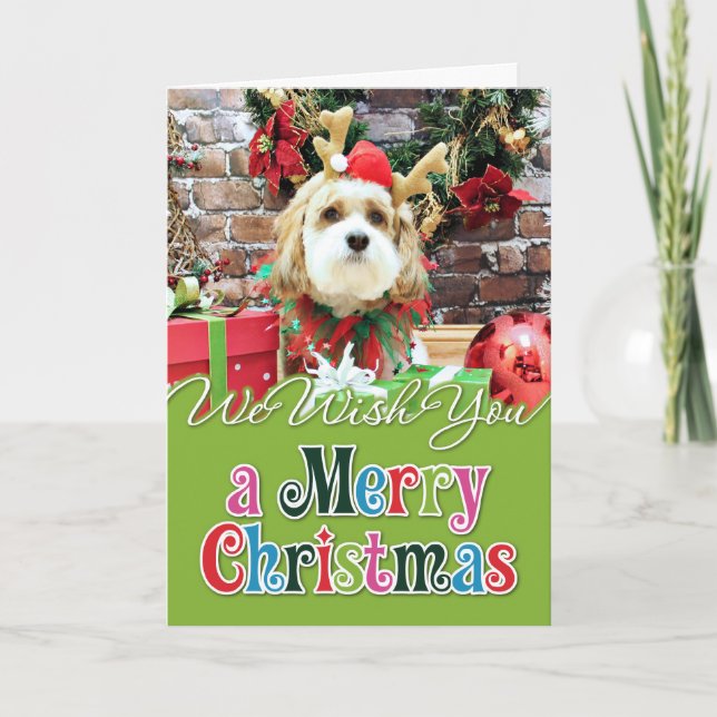 Jul - Cavachon - Max Helgkort (Framsida)