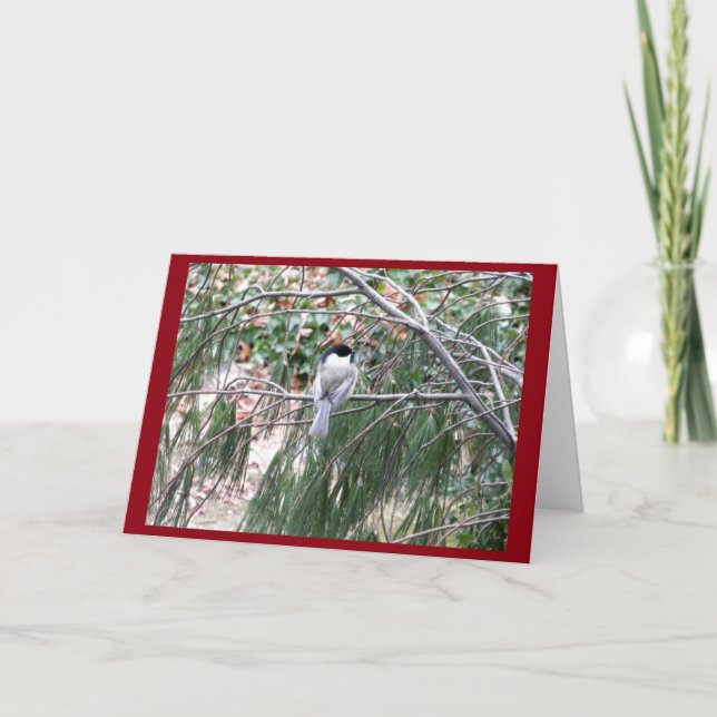 Jul Chickadee-hälsningskort Helgkort (Framsida)