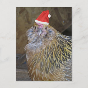 Jul Chicken Helg Vykort