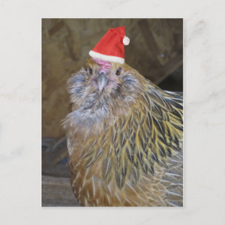 Jul Chicken Helg Vykort